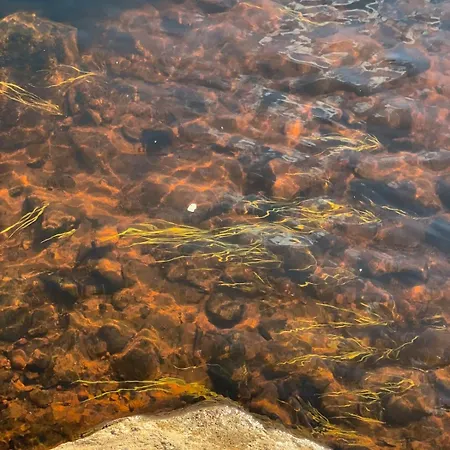 Riverside Beneath The Northern Lights Hébergement de vacances *