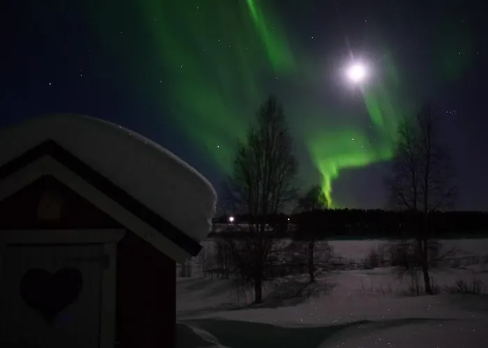 Riverside Beneath The Northern Lights 佩洛