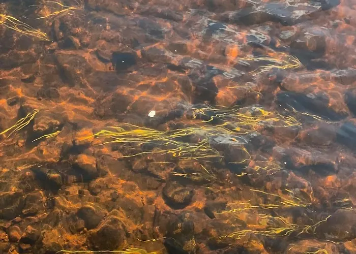 Riverside Beneath The Northern Lights 度假居 *